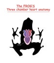 Frog heart anatomy on black dog silhouette with shadow isolated. Part of the mammal heart. Anatomy of pet heart illustration. Educ